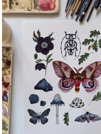 Image 5 of Sagittarius Nature Chart PRINT