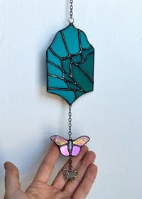 Image 5 of Tailed-Blue