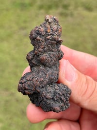 Image 2 of Coprolite Fossil (DinosaurPoo) #2252