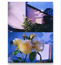Image 1 of PICK ROSES AT NIGHT XII