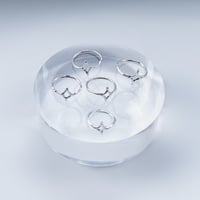 Image 2 of celestial 