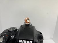 Image 4 of Burrowing Owl Hotshoe Cover