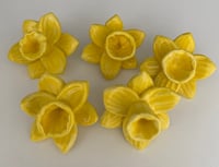 Image 2 of Broits Cenhinen Bedr - Daffodil Brooch