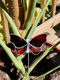 Image 3 of BUTTERFLY PLANT STAKE