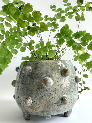 Image of Dot planter 
