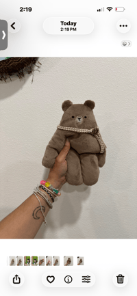 Brown Bear Bloog