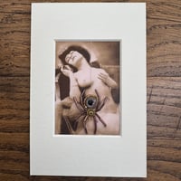 Image 4 of Pinup (e, 4x6 inches)