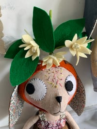 Image 3 of Clementine Blossom Kitty 