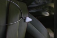 Image 4 of Unicorn Tooth