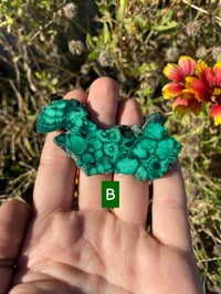 Image 2 of Malachite and Chrysocolla 