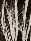 Grass Monoprint- Original Botanical Print - A4
