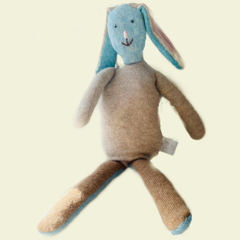 Image of The (Not) Rubbish Rabbit