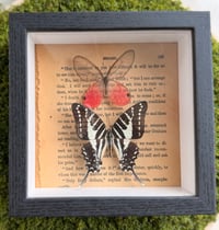 Image 5 of Wings & Words 