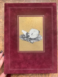 Image 1 of Anthologie historique des dessins érotiques, 1879-1929.