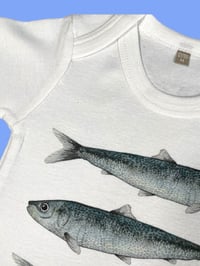 Image 3 of Body SARDINE