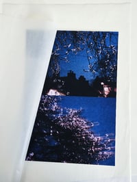 Image 2 of SPRING NIGHT