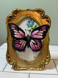 Image 4 of butterfly 