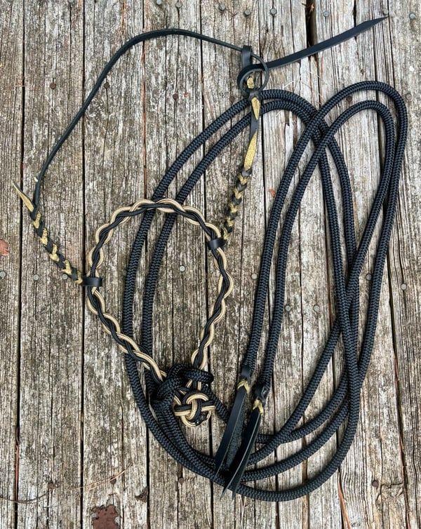 Image of Black/Gold Loping Hack/Rope Bosal Set