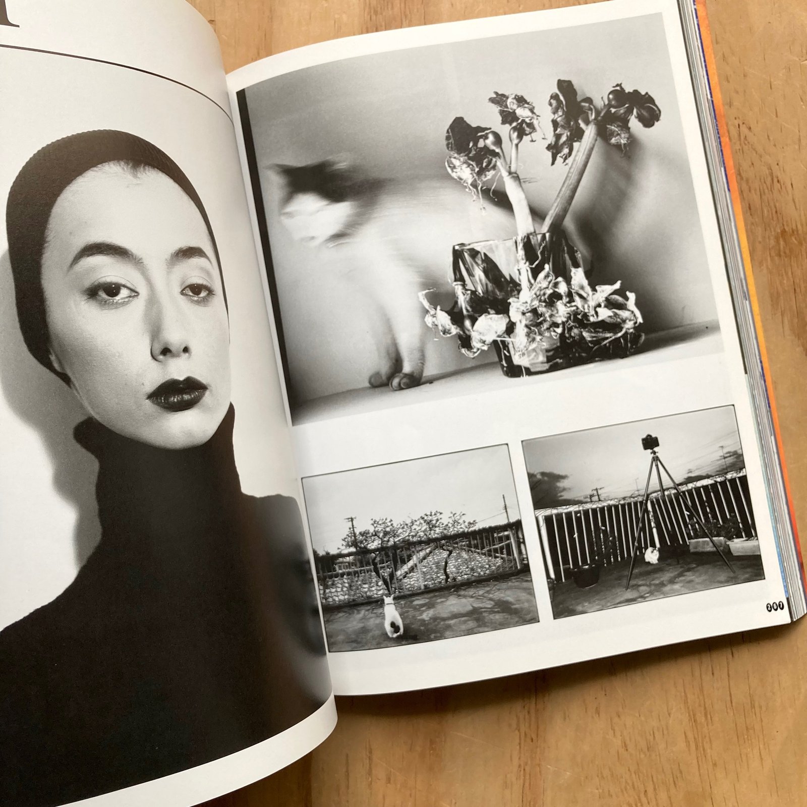 ARAKI by ARAKI 写真集 Araki by Araki by Nobuyoshi Araki | Goodreads