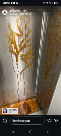 Image 2 of 10mm mop, squeezer , rust fill only