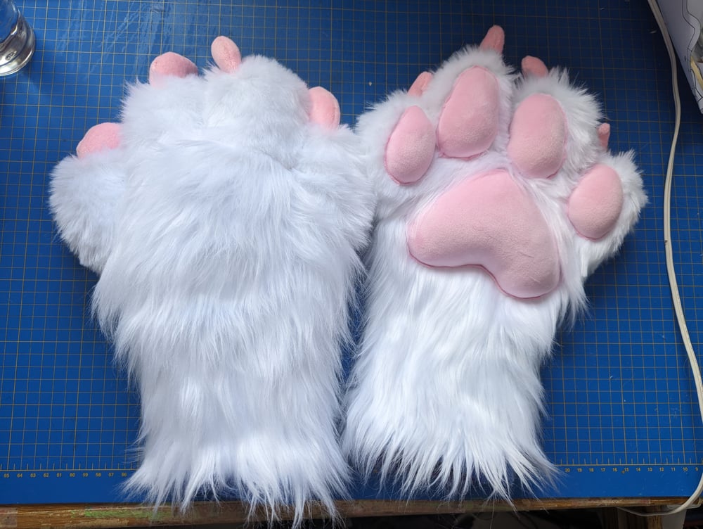 Image of Mochi paws