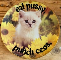 Image 1 of kittens know