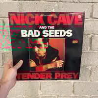 Nick Cave & The Bad Seeds – Tender Prey - U.S First Press LP 