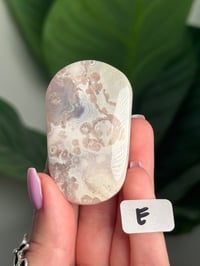 Image 5 of CHOOSE YOUR OWN HQ FLOWER AGATE PALM STONE -MADAGASCAR-