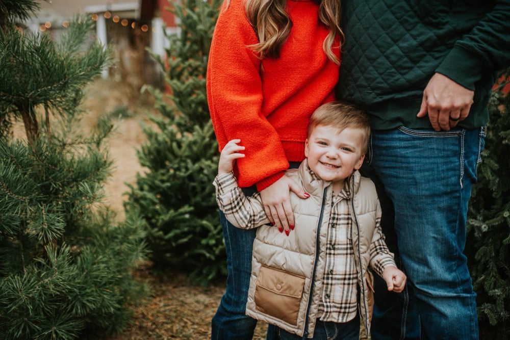 Image of Christmas tree farm
