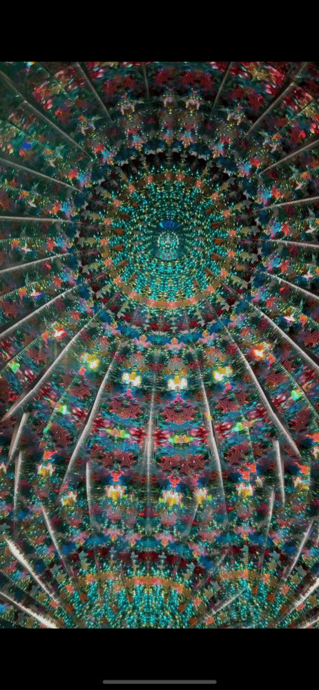 Image of Succulent Garden Mini AuraScope