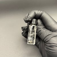 Image 5 of Speedwell (Veronica persica) Flowers Wet Specimen | 4ml Vial