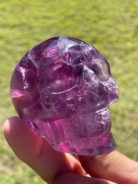 Image 5 of Purple Fluorite Crystal Skull #1884