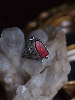 Image of NOSFERATU'S LAIR : RING