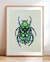 Image 5 of Green Protaetia Beetle PRINT 