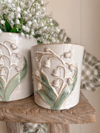 Image 1 of Lily of the Valley Pots ( 2 Sizes )