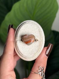Image 1 of LAGUNA LACE AGATE RING W .925 SS SIZE 8