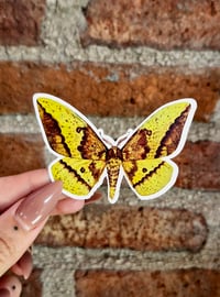Image 2 of Emperor Moth sticker