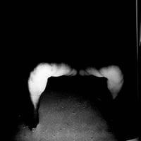 Image 22 of Nobuyoshi Araki "Bodyscapes"