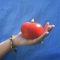 Image 7 of Tomato Candle 