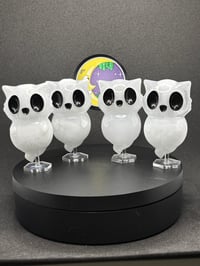 Image 1 of Ghost Kitty 