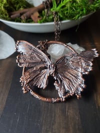 Image 1 of Butterfly 