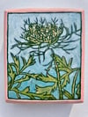 Queen Anne's Lace