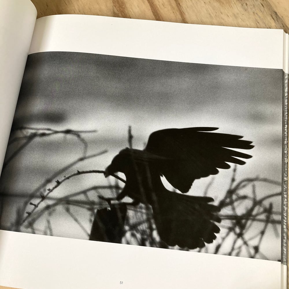 Masahisa Fukase - The Solitude Of Ravens (1st U.S)