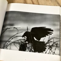 Image 5 of Masahisa Fukase - The Solitude Of Ravens (1st U.S)