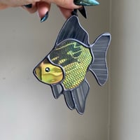 Image 3 of GOTH Ryukin Goldfish
