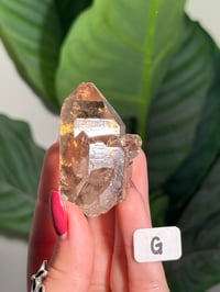 Image 8 of CHOOSE YOUR OWN NATURAL (UNPOLISHED) RUTILE IN QUARTZ POINT -BRAZIL-