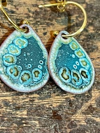 Image 4 of Blue Green Beauties 