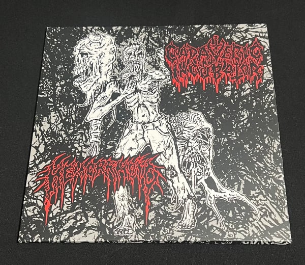 Image of Cadaveric Incubator / Hemorrhoid Split 