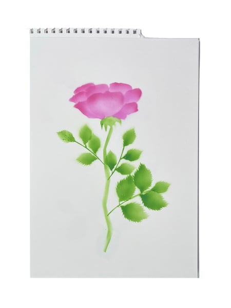 Image of Rose ‘Ulrich Brunner’ - 1 rose (8)