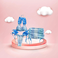 PRINCESS Bikini Set
